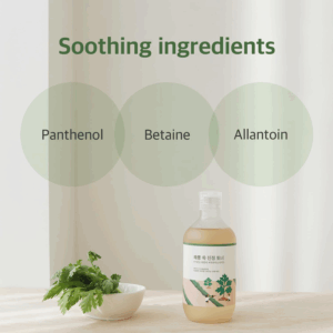 En 300 ml flaske Round Lab - Mugwort Calming Toner med en grøn og beige etiket står på et bord ved siden af frisk koriander. Ovenfor fremhæver tre cirkler de beroligende ingredienser: Panthenol, Betain og Allantoin. Tekst: "Beroligende ingredienser.
