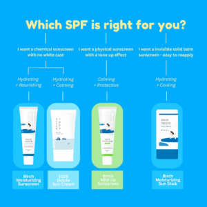 Infografik med titlen Hvilken SPF er den rigtige for dig? fremhæver Round Lab - Birch Juice Moisturizing Sun Stick 19g med detaljerede beskrivelser skræddersyet til forskellige hudbehov.