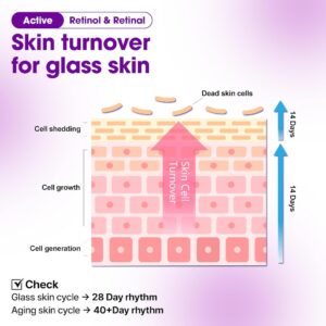 Infografik, der viser hudcelleomsætningen for glashud og fremhæver fordelene ved Some By Mi - Retinol Bakuchiol Dual Cream. Diagrammet viser hudlag, døde celler øverst, pil opad, og noterer en 28-dages cyklus for glashud vs. 40+ dage for aldrende hud.