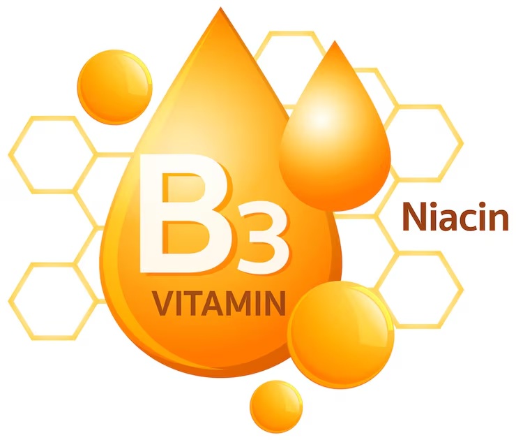 Orange dråbeformer med B3 VITAMIN og Niacin skrevet på dem, omgivet af sekskantede konturer og mindre orange kugler, der repræsenterer B3-vitamin (niacin) som vist i et ingrediensleksikon.